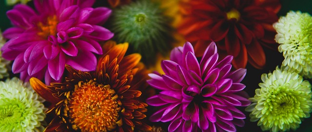 记者：阿根廷全队周四启程前往安哥拉，梅西届时将首发出战